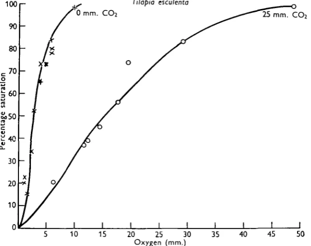 Fig. 2. Oxygen dissociation curves for haemoglobin solutions prepared from the blood of Tilapiaesculenta