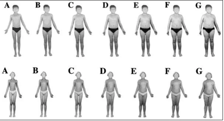 Figure 1: The Children's Body İmage Scale