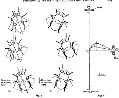 Fig. 5Fig. 6