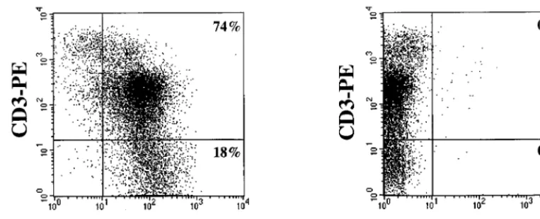 FIG. 1. Distribution of chemokine receptor expression on freshly isolated human thymocytes