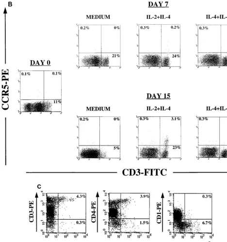 FIG. 2—Continued.