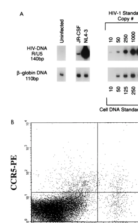 TABLE 1. Effects of cytokines on CXCR4 expressionin thymocytesa
