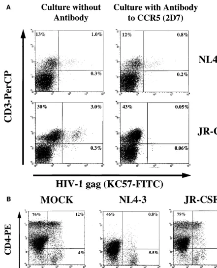 FIG. 5. The antibody to CCR5 (2D7) speciﬁcally blocks expression of JR-CSF in thymocytes