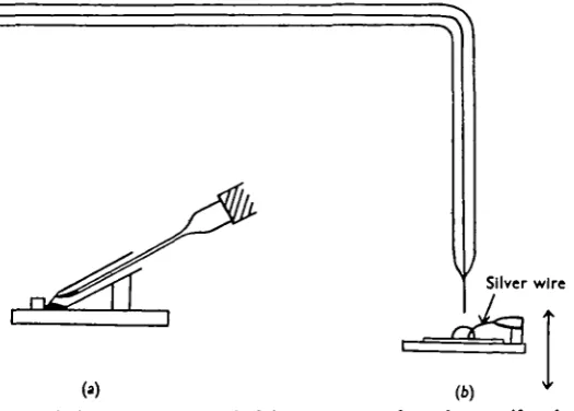 Fig. 1. (a) The technique for the removal of the supernatant from the centrifuged precipitate.(6) The burette and titration platform with silver electrode in position.