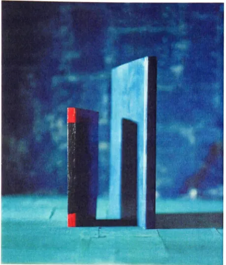 Figure 5. Untitled, 40x34 inches, 2005