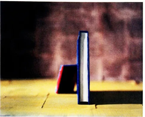 Figure 19, Untitled, 30x37.5 inches, 2005