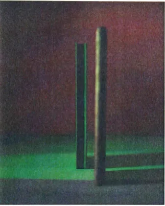 Figure 20, Untitled, 30x36.8 inches, 2005