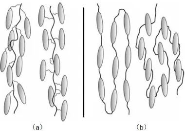 Figure 2.6 Schematic illustration of anisotropic phase of liquid crystal part transfers to the isotropic phase with increasing temperature and dimensional change [61]