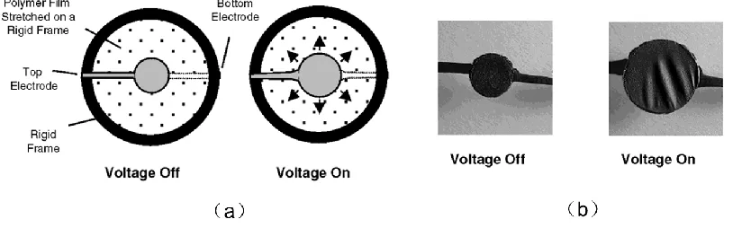 Figure 2.13 Schematic illustration of circular strain set-up and photographs of acrylic elastomer under the circular strain testing