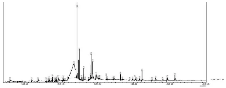 Figure 1: GC-MS Chromatogram of methanolic Stem extract of C. quadrangularis 