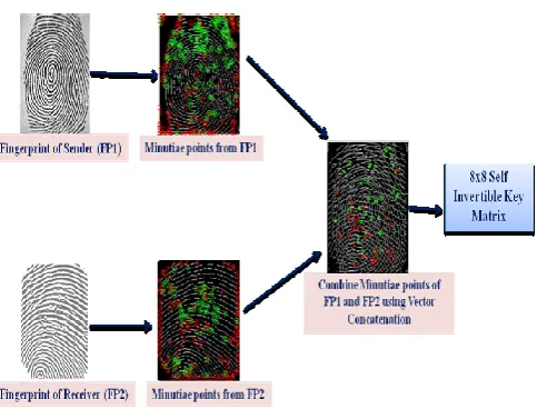 Figure 2: Combined Minutiae Template 