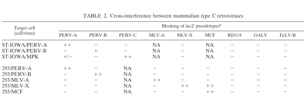 TABLE 1. Rescue and self-interference of lacZ pseudotypesby recombinant PERV envelopes