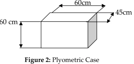 Figure 2: Plyometric Case 