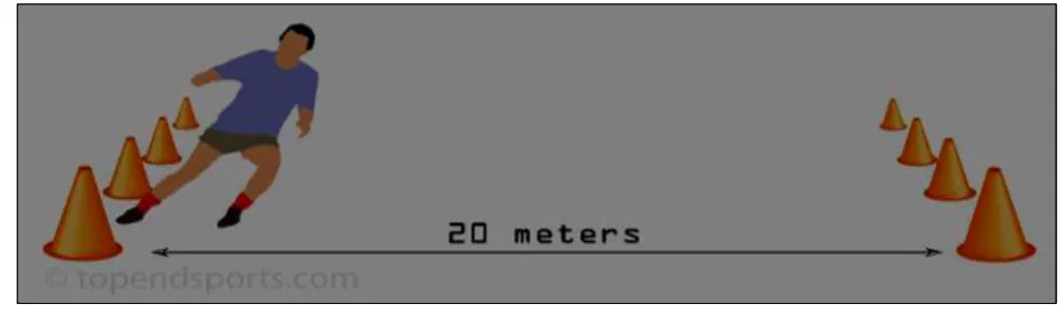 Figure 1: 20 meter Shuttle Run 