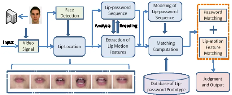 Figure 1:  Lip Contour 
