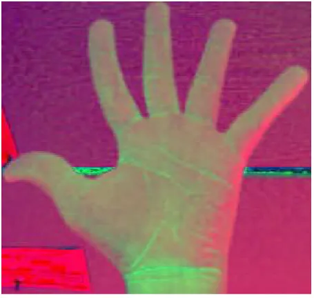 Fig 3: Head Movement Tracking System 