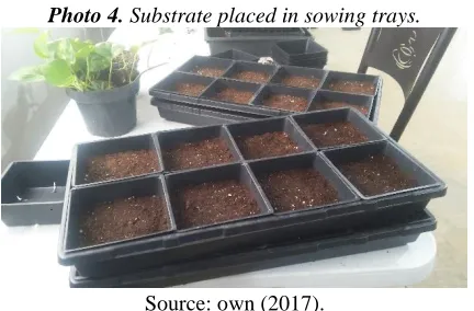 Table 4.  Densities of seeds per species placed in each sowing tray. Species Density (grams)/sowing tray 