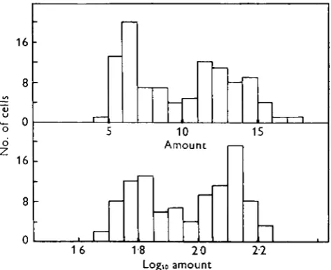 Fig. 1. Histogram summarizing the quantity of Feulgen staining material in tissue culture interphasenuclei, plotted with equal linear (a) and logarithmic (6) intervals dividing the histogram groups.