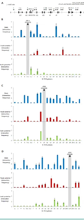 Figure 3. Identification of intra-chromosomal interac-tions in Hoxc loci in brain and trunk tissues