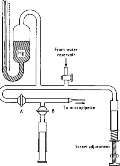 Fig. 1. Schematic diagram of the manometer used in the experiments. Except for the portionoccupied by mercury, the entire system is filled with water