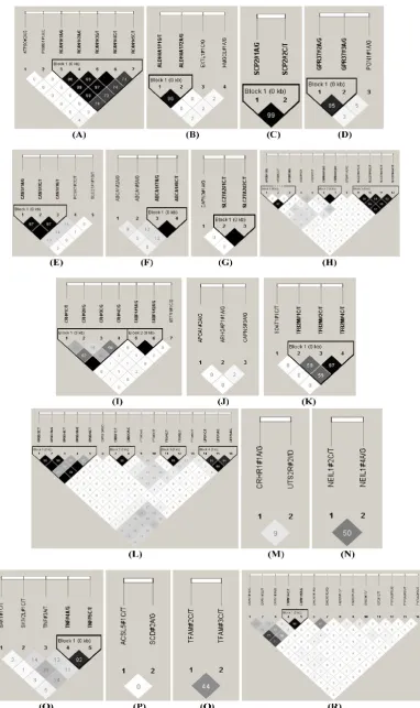Figure 2. Linkage disequilibrium analysis for markers in 49 genes. Pairwise linkage disequilibrium relationships for these SNPs are based on r2 meas-urements