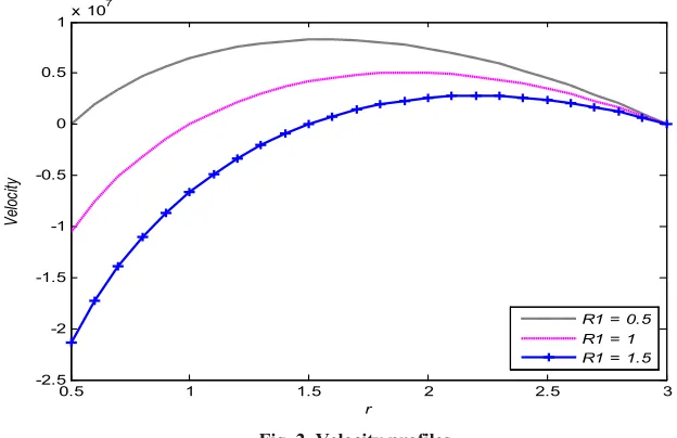 Fig. 2. Velocity profiles 