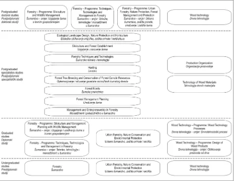 Fig. 1 Structure of the higher educational system at the Faculty of Forestry, University of ZagrebSlika 1