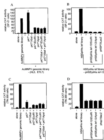 FIG. 4. Requirement for lef-12library (A and C) or the HSEpiHisplasmid clones pAcIAP-PstI/NsiI and pBS-RI-M were added to supplyPlasmids supplying wild-type in transient late gene expression assays