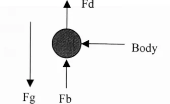 Figure 22: Forces acting on a Body Completely Submerged in a Liquid