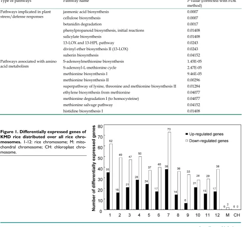 Figure 1. Differentially expressed genes of KMD rice distributed over all rice chro-mosomes