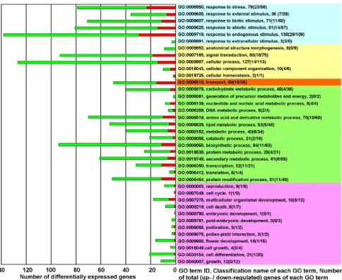 Figure 2. The biological functions of differentially expressed genes in KMD rice★. Red square: Up-regulated genes (fold change ≥ 2.0); Green square: down-regulated genes (fold change ≤ 0.5)