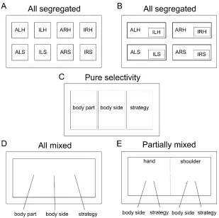 Figure 3.3. Possible Organizational Models of Neural Representations 