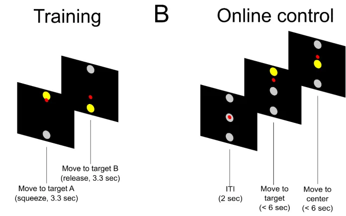 Figure 4.1. Experimental Paradigm 