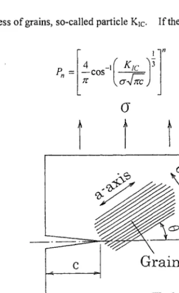 Fig. 1 Fracture mechanics treatment in microstructure-based fracture model. 