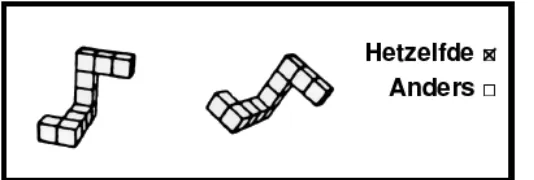 Figure 6. Sample item from the redrawn Vandenberg and Kuse Mental Rotations test (Peters et al., 1995)