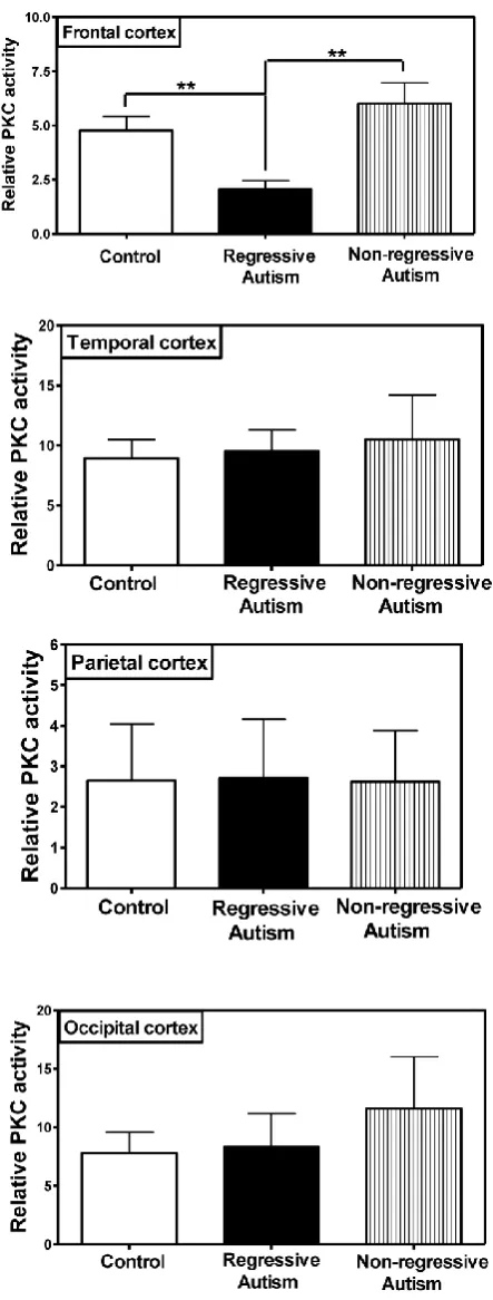 Fig. 1. Protein kinase C activity in different regions of cerebral cortex, i.e., frontal, temporal, occipital and parietal cortex from subjects with regressive autism, non-regressed autism and their age-matched controls