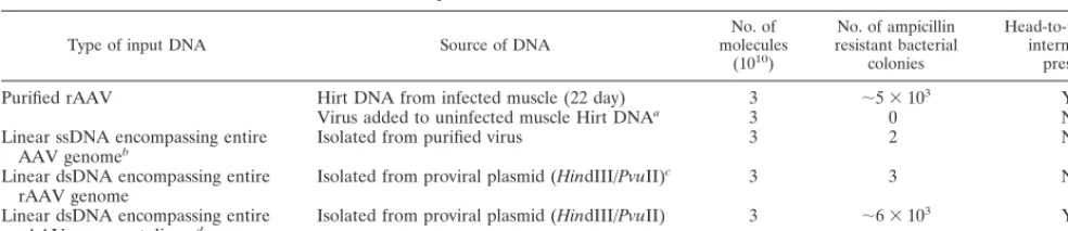TABLE 1. Control experiments for rescue of circular intermediates in bacteria