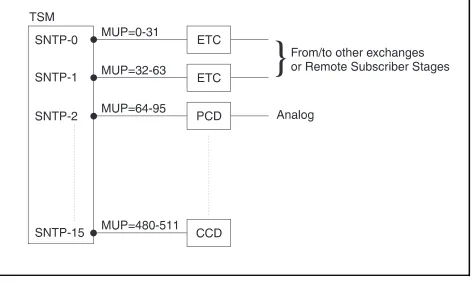 Figure 3.4Connection of devices to the Time Switch Module