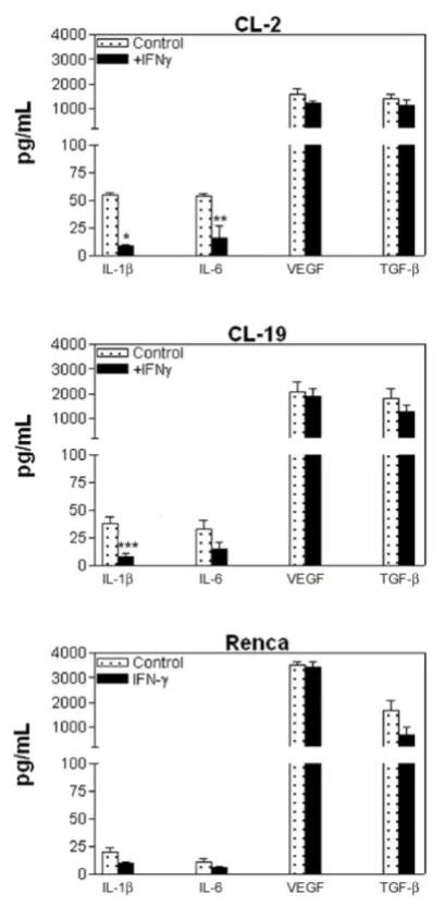 Figure 7. IFNL-arginine, L-ornithine, and citrulline levels. Culture supernatants of CL-2, CL-19 and Renca cells untreated and treated with γ were collected at 24, 48, and 72 h and analyzed by HPLC after deproteinization with methanol and derivatization wi