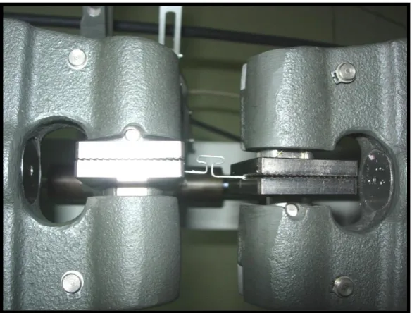 FIG  13- T  LOOP AFTER ACTIVATION  