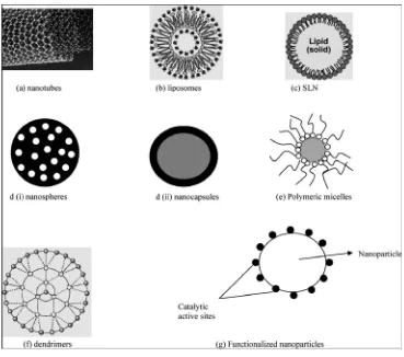 Figure - 1 Different Types of Nanocarriers 