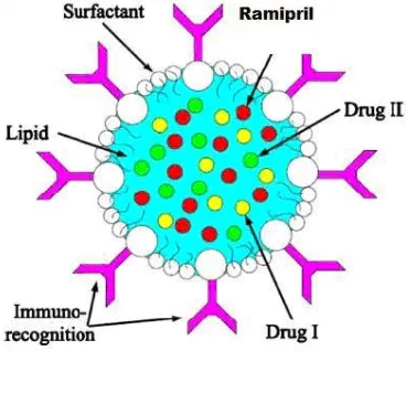 Figure – 2 Schematic representation of a Solid lipid nanoparticle [55] 