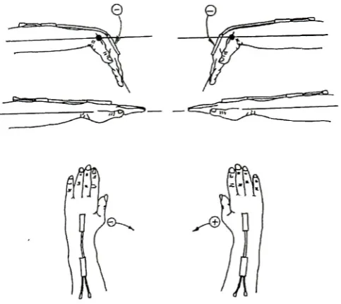 Figure 3.4 Sign conventions for wrist position data
