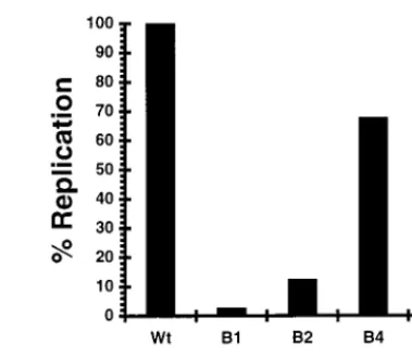 FIG. 2. Synthesis of dsRNAs from wild-type and mutant template RNAs bythe cell-free replication system
