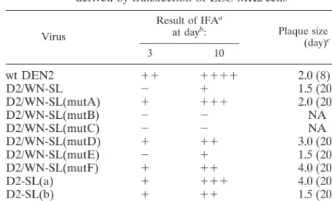 TABLE 1. Properties of wt DEN2 and 3�-SL mutant virusesderived by transfection of LLC-MK2 cells