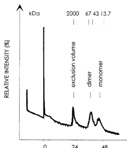 FIG. 4. Identiﬁcation of puriﬁed HFV PR-�ration. A Superose 12 HR10/30 column was calibrated with the marker proteinsas indicated at the top