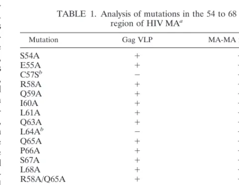 TABLE 1. Analysis of mutations in the 54 to 68region of HIV MAa