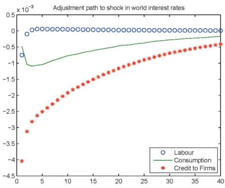 Figure 8. Adjustment path to shock in world interest rates 