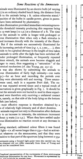 Fig. 1. Graphical representation of the movements of three ammocoetesunder continuous illumination for one hour