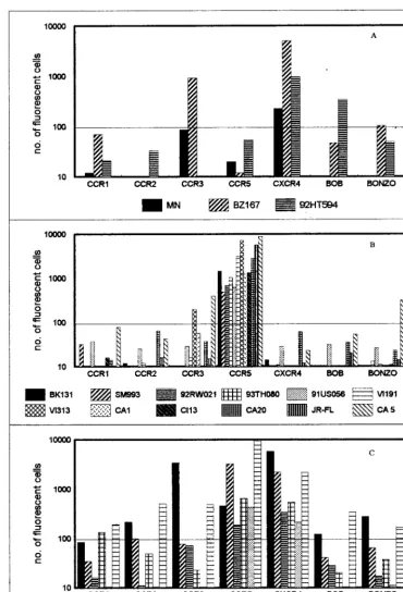 FIG. 1. Twenty-one primary isolates were tested for their coreceptor preference in GHOST cells expressing CCR1, CCR2, CCR3, CCR5, CXCR4, BOB, or Bonzo.The virus isolates were either SI (A), NSI (B), or dual- or polytropic (C)